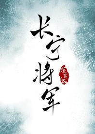 长宁将军封面