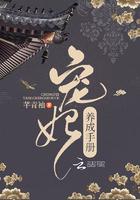 宠妃养成手册封面