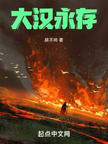 大汉永存封面