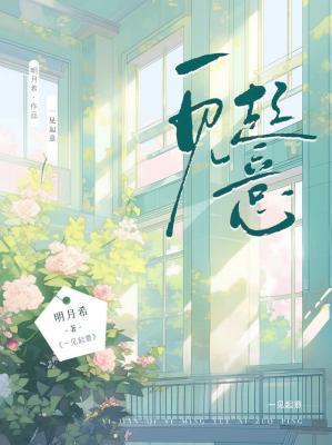 一见起意封面