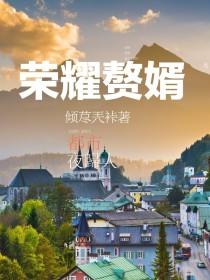 荣耀赘婿封面