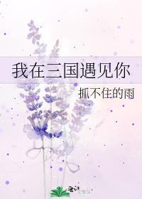 我在三国遇见你封面