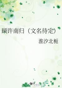 顾许南归（文名待定）封面