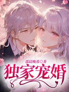 独家宠婚封面