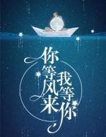 你等风来我等你封面