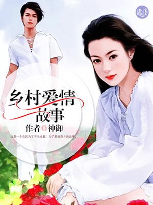 乡村爱情故事封面