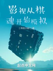 影视从棋魂开始模拟封面