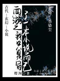 西游之我只是写了一本小说而已封面
