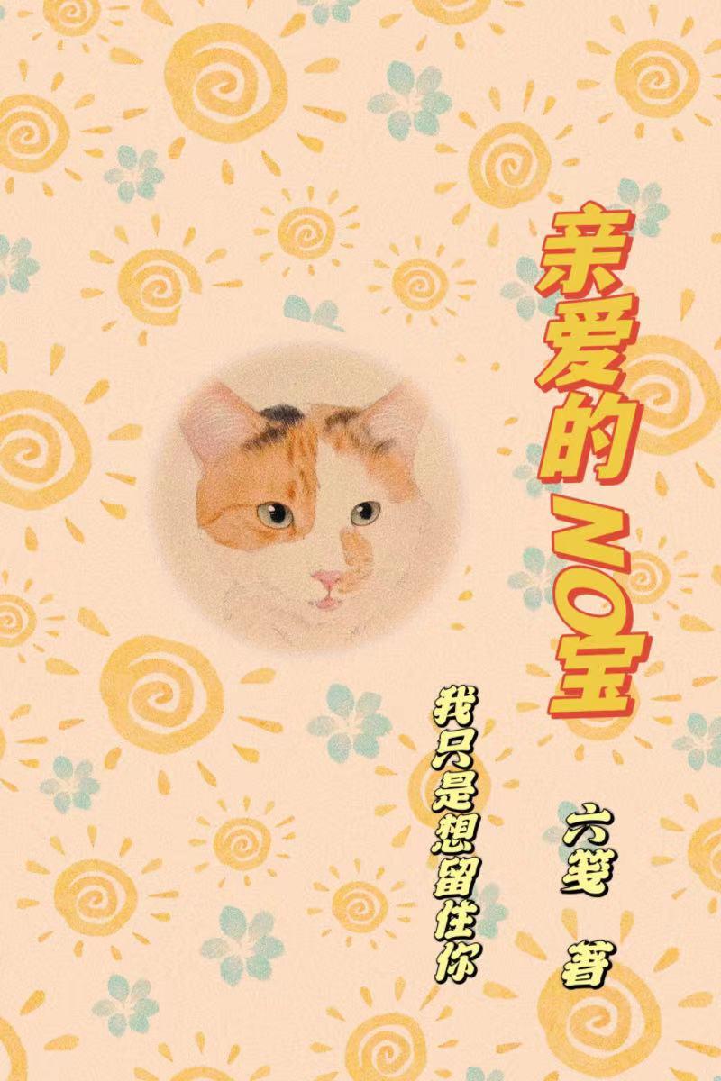 亲爱的NO宝封面