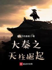 大秦之天柱崛起最新封面