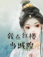 我在红楼当城隍封面