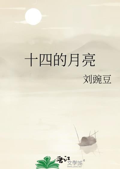 十四的月亮封面