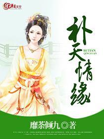 补天情缘封面