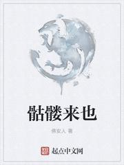 杨凌李安澜封面
