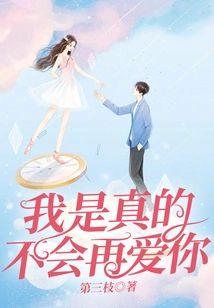 我是真的不会再爱你封面