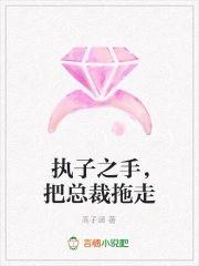 执子之手，把总裁拖走封面