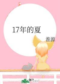 17年的夏封面