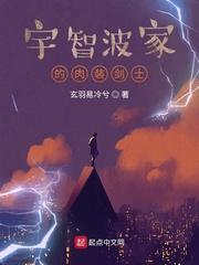 宇智波家的肉装剑士封面