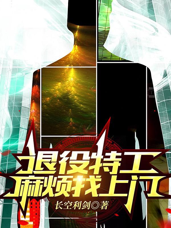退役特工：麻烦找上门封面