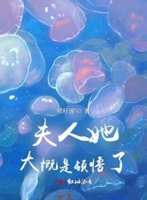 夫人她大概是顿悟了封面