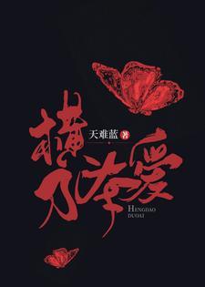横刀夺爱封面