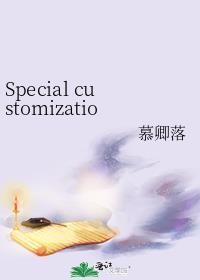 Special customization封面