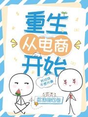 重生从电商开始封面