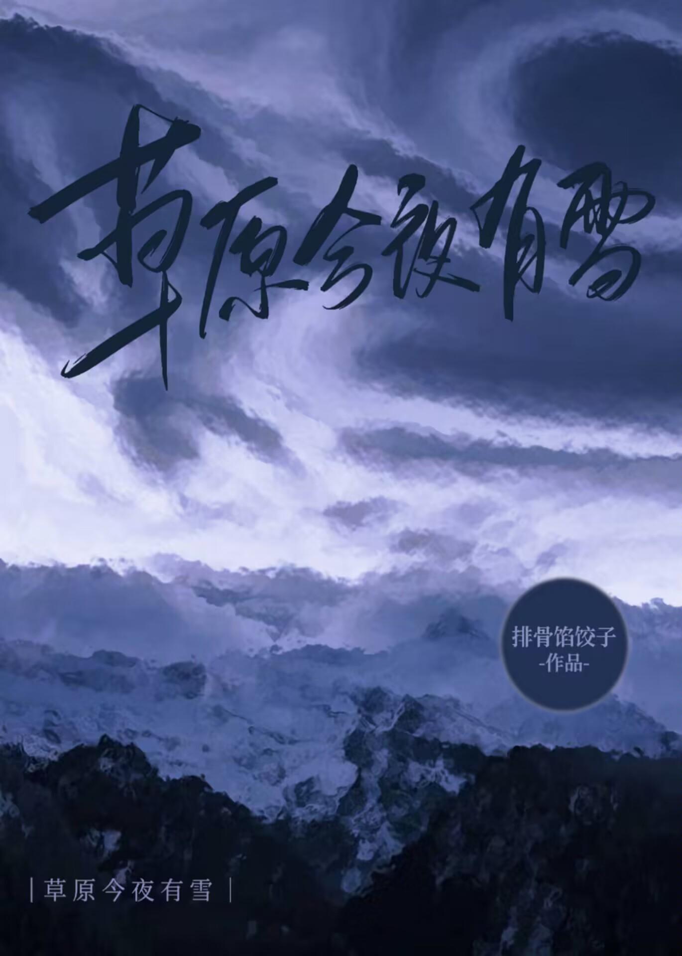 草原今夜有雪封面