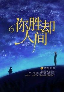 你胜却人间封面