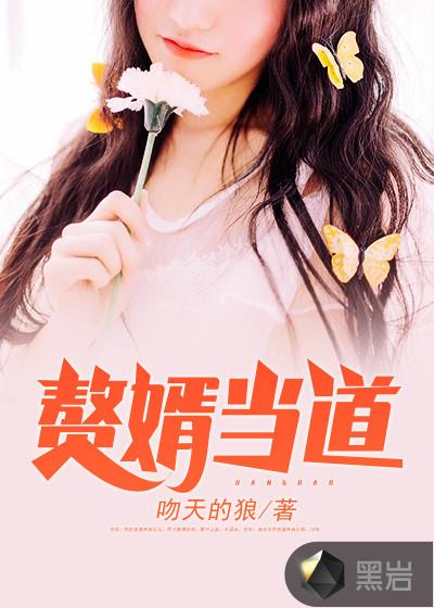 我是赘婿绿帽封面