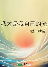 我才是我自己的光封面
