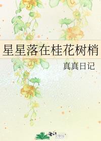 星星落在桂花树梢封面