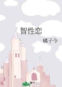 智性恋封面