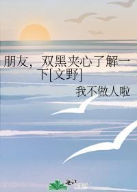 朋友，双黑夹心了解一下[文野]封面