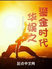 华娱之鎏金时代封面