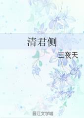 清君侧封面