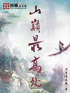 山巅最高处封面