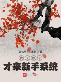 我无敌了，才来新手系统封面