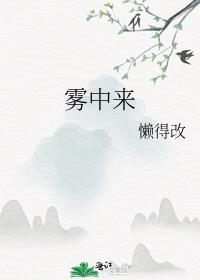 雾中来封面