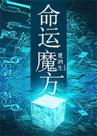 命运魔方封面