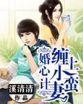 婚心计：缠上小蛮妻封面