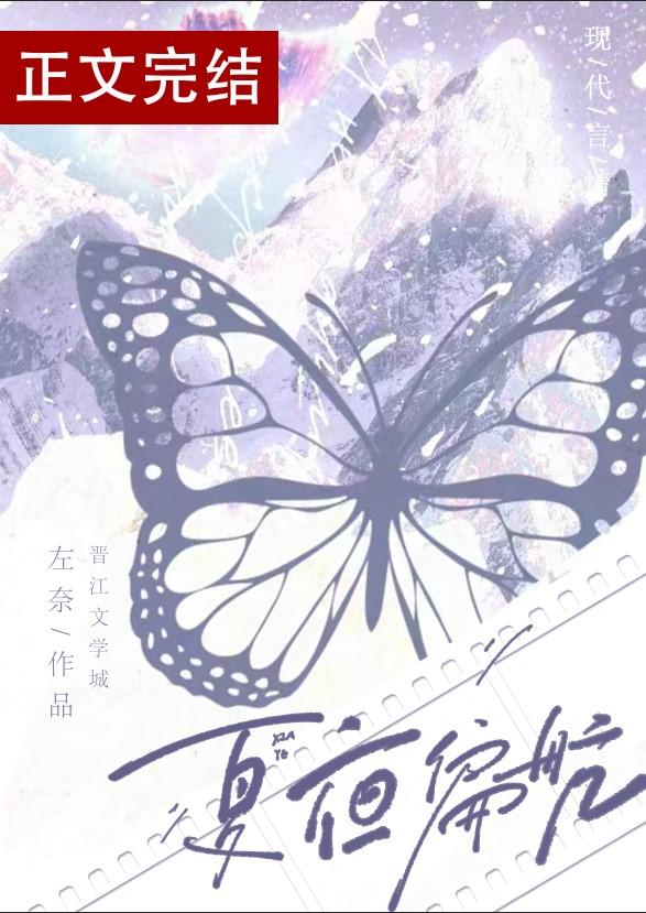 夏夜偏航封面