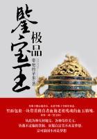 极品鉴宝王封面