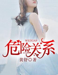 危险关系封面