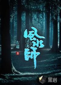 寻龙风水师封面