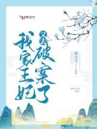 我家王妃又去破案了封面