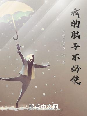 我的脑子不好使封面