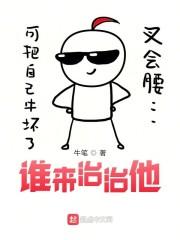 谁来治治他封面