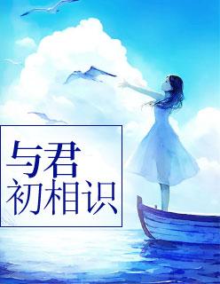 沈茵茵丛文嘉封面