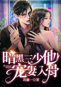 暗黑三少他宠妻入骨封面